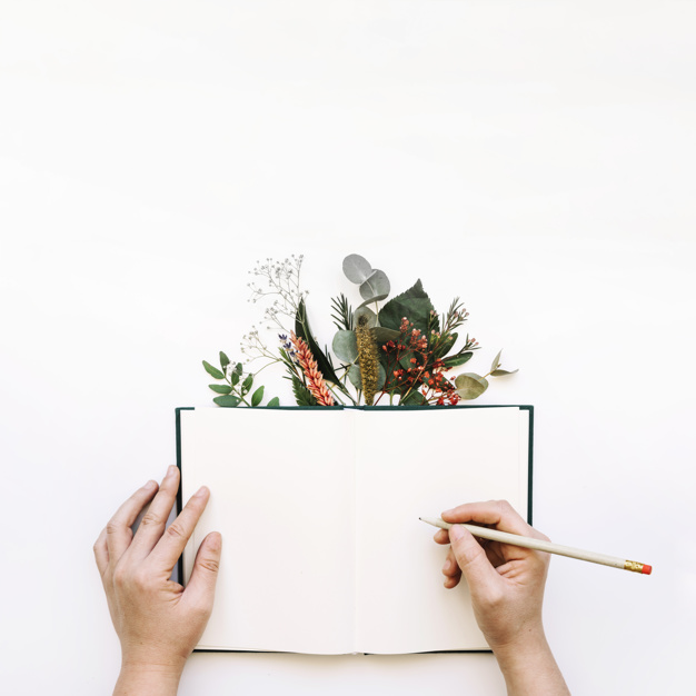 Solo me interesaba escribir y leer
